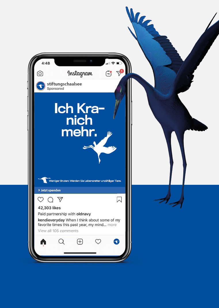 Handy zeigt Instagram und daneben steht ein blauer Kranich. Social-Media Post Mockup für die Stiftung Biosphäre Schaalsee. Branddesign