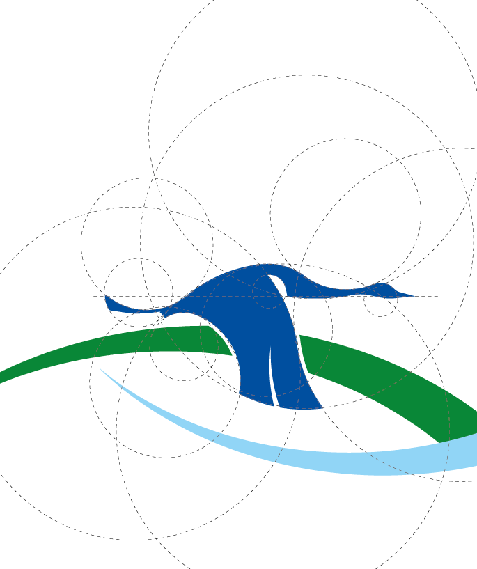Kranich Logo. Logo-Konstruktion im goldenen Schnitt für das neue Corporate Design für die Stiftung Biosphäre Schaalsee von Daniel Roode. Branddesign